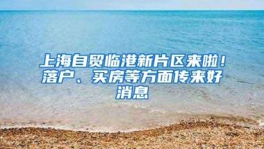 上海自贸临港新片区来啦！落户、买房等方面传来好消息