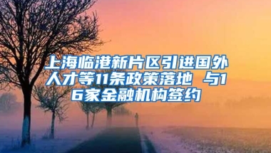 上海临港新片区引进国外人才等11条政策落地 与16家金融机构签约