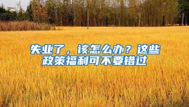 失业了，该怎么办？这些政策福利可不要错过