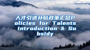 人才引进补贴政策汇总Policies for Talents Introduction & Subsidy