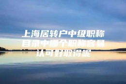 上海居转户中级职称目录中哪个职称容易认可好取得呢