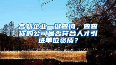 高新企业一键查询，查查你的公司是否符合人才引进单位资质？