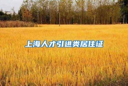 上海人才引进类居住证