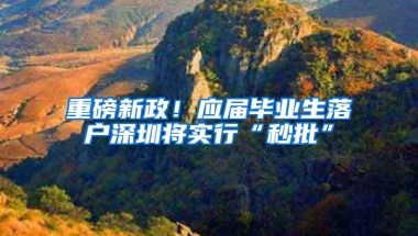 重磅新政！应届毕业生落户深圳将实行“秒批”