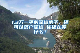 1.3万一平的深圳房子，还可以落户深圳 你还在等什么？