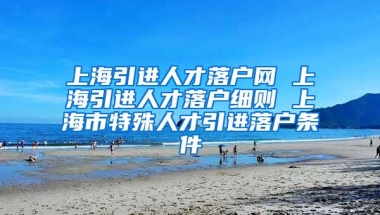 上海引进人才落户网 上海引进人才落户细则 上海市特殊人才引进落户条件