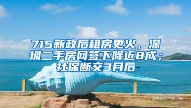 715新政后租房更火，深圳二手房网签下降近8成；社保断交3月后