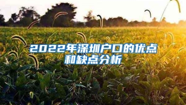 2022年深圳户口的优点和缺点分析