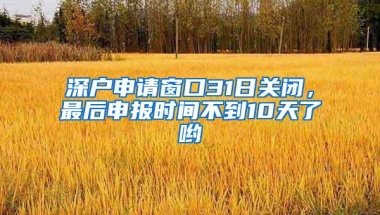 深户申请窗口31日关闭，最后申报时间不到10天了哟