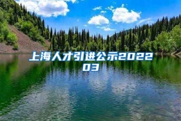 上海人才引进公示202203