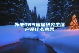 外地985应届研究生落户是什么意思