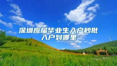 深圳应届毕业生入户秒批入户到哪里