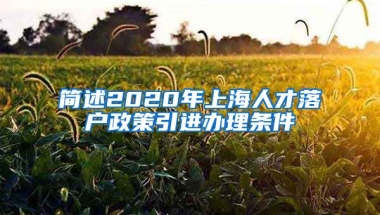 简述2020年上海人才落户政策引进办理条件