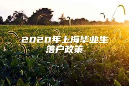 2020年上海毕业生落户政策