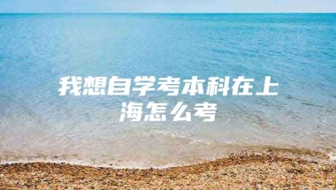 我想自学考本科在上海怎么考