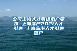 公司上海人才引进落户要求 上海落户2021人才引进 上海临港人才引进落户