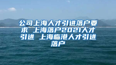 公司上海人才引进落户要求 上海落户2021人才引进 上海临港人才引进落户