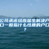 公司承诺给应届生解决户口一般指什么性质的户口？