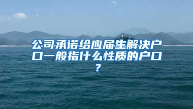 公司承诺给应届生解决户口一般指什么性质的户口？