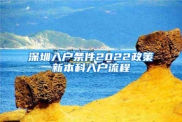 深圳入户条件2022政策新本科入户流程