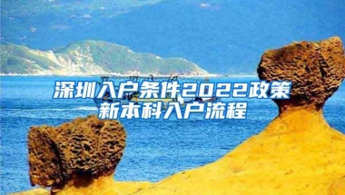 深圳入户条件2022政策新本科入户流程