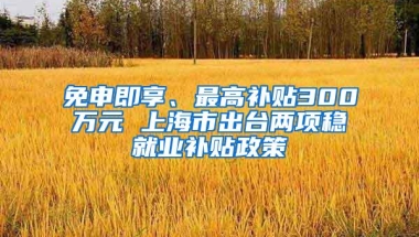 免申即享、最高补贴300万元 上海市出台两项稳就业补贴政策