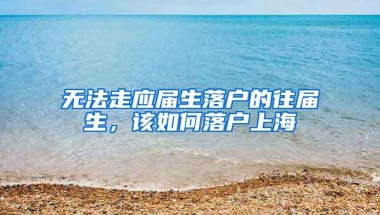 无法走应届生落户的往届生，该如何落户上海