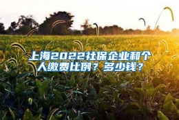 上海2022社保企业和个人缴费比例？多少钱？