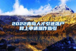 2022青岛人才引进落户网上申请操作指引