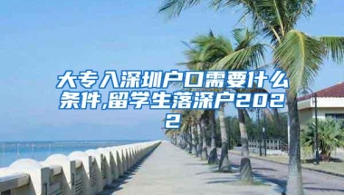 大专入深圳户口需要什么条件,留学生落深户2022