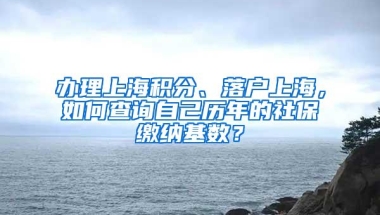 办理上海积分、落户上海，如何查询自己历年的社保缴纳基数？