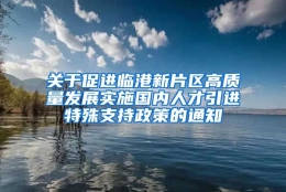 关于促进临港新片区高质量发展实施国内人才引进特殊支持政策的通知