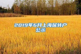 2019年6月上海居转户公示