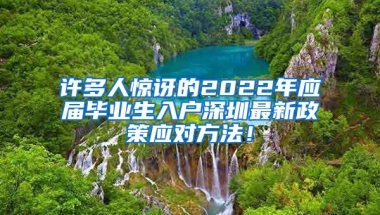 许多人惊讶的2022年应届毕业生入户深圳最新政策应对方法！