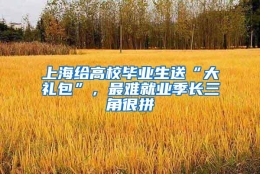 上海给高校毕业生送“大礼包”，最难就业季长三角很拼