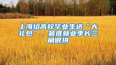 上海给高校毕业生送“大礼包”，最难就业季长三角很拼