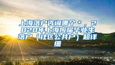 上海落户咨询哪个＊，2020年上海应届毕业生落户（社区公共户）超详细