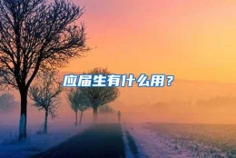 应届生有什么用？