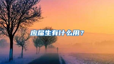 应届生有什么用？