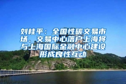 刘桂平：全国性碳交易市场、交易中心落户上海将与上海国际金融中心建设形成良性互动