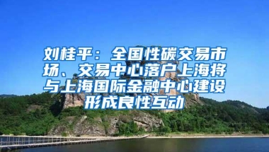 刘桂平：全国性碳交易市场、交易中心落户上海将与上海国际金融中心建设形成良性互动