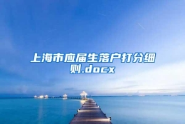 上海市应届生落户打分细则.docx