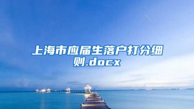 上海市应届生落户打分细则.docx