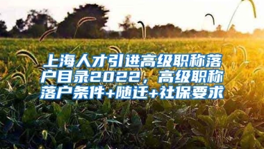 上海人才引进高级职称落户目录2022，高级职称落户条件+随迁+社保要求