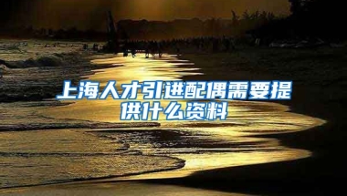 上海人才引进配偶需要提供什么资料