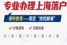 松江区医院人才引进材料