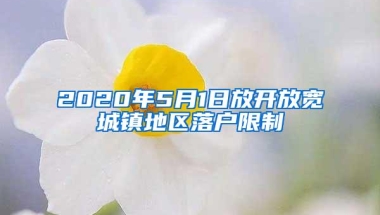 2020年5月1日放开放宽城镇地区落户限制