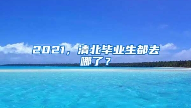 2021，清北毕业生都去哪了？