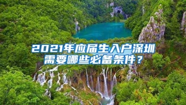 2021年应届生入户深圳需要哪些必备条件？