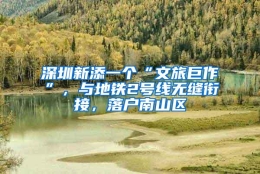 深圳新添一个“文旅巨作”，与地铁2号线无缝衔接，落户南山区